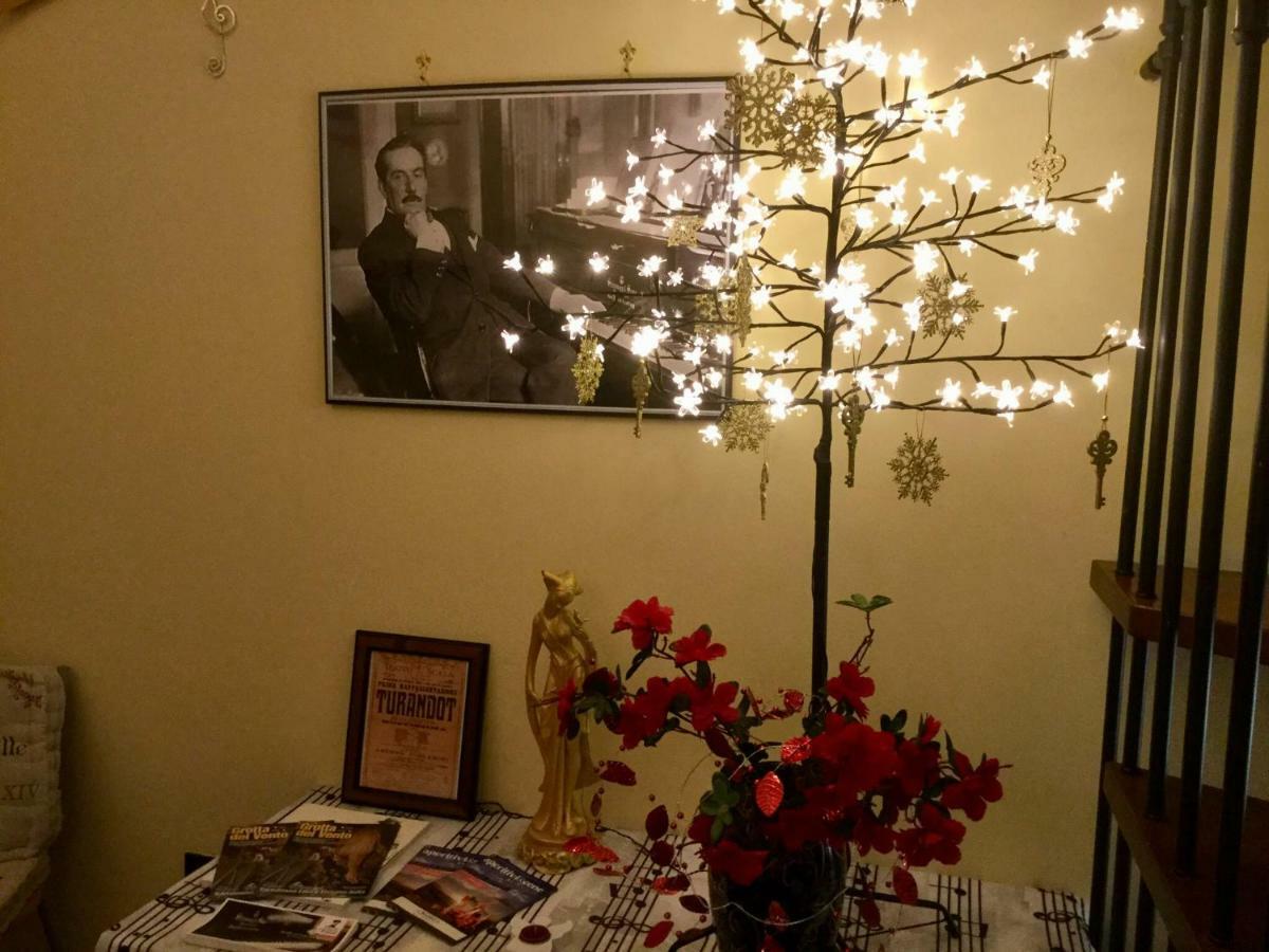 La Petite Maison Turandot Camaiore Dış mekan fotoğraf