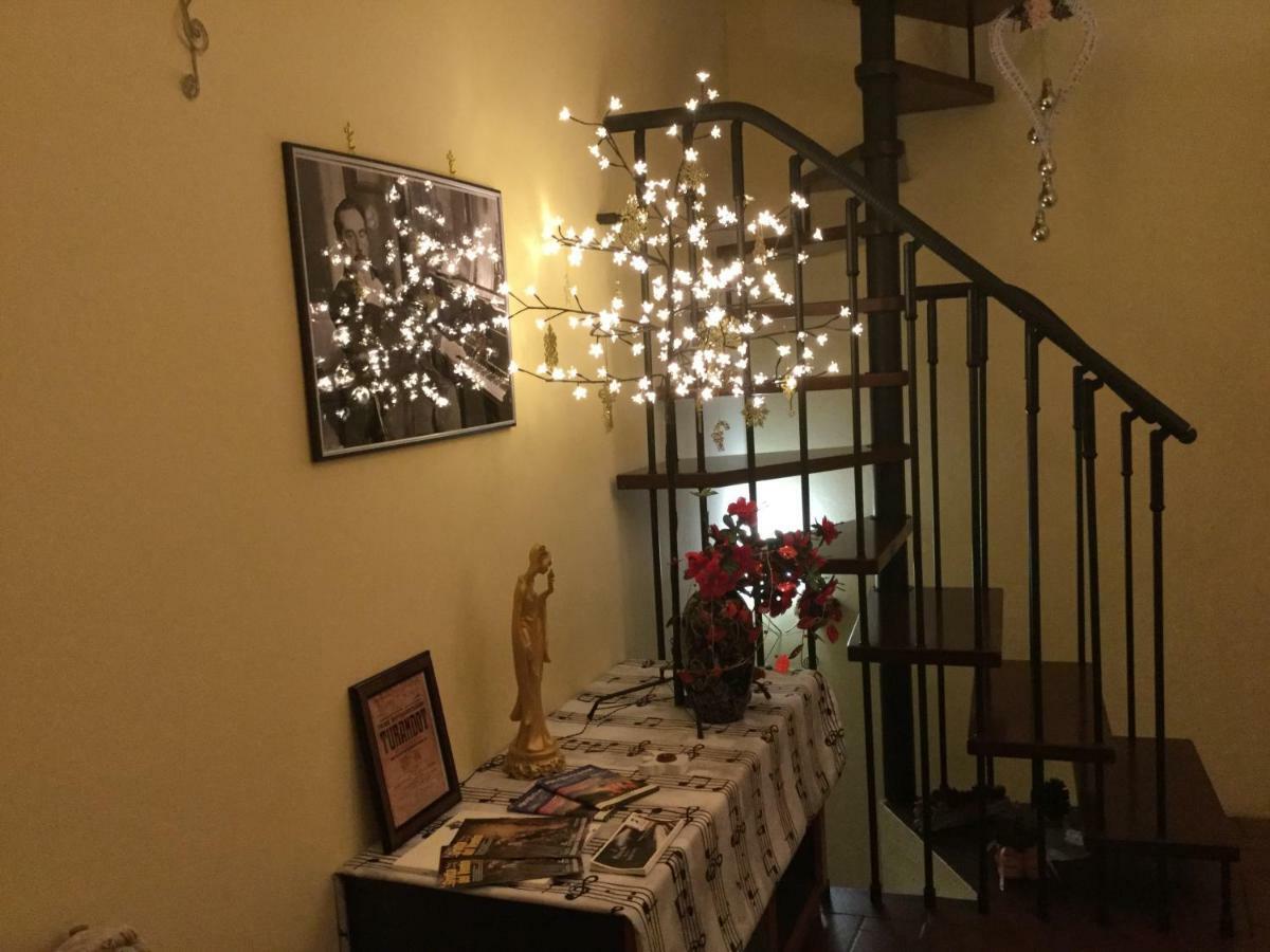 La Petite Maison Turandot Camaiore Dış mekan fotoğraf